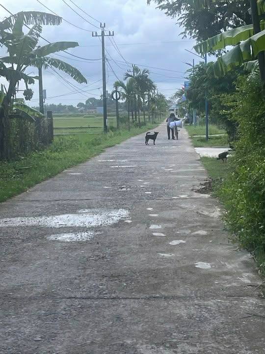 Đất nền Triệu Hòa, Triệu Phong 175m² giá chỉ 150 triệu - Cơ hội đầu tư lý tưởng!