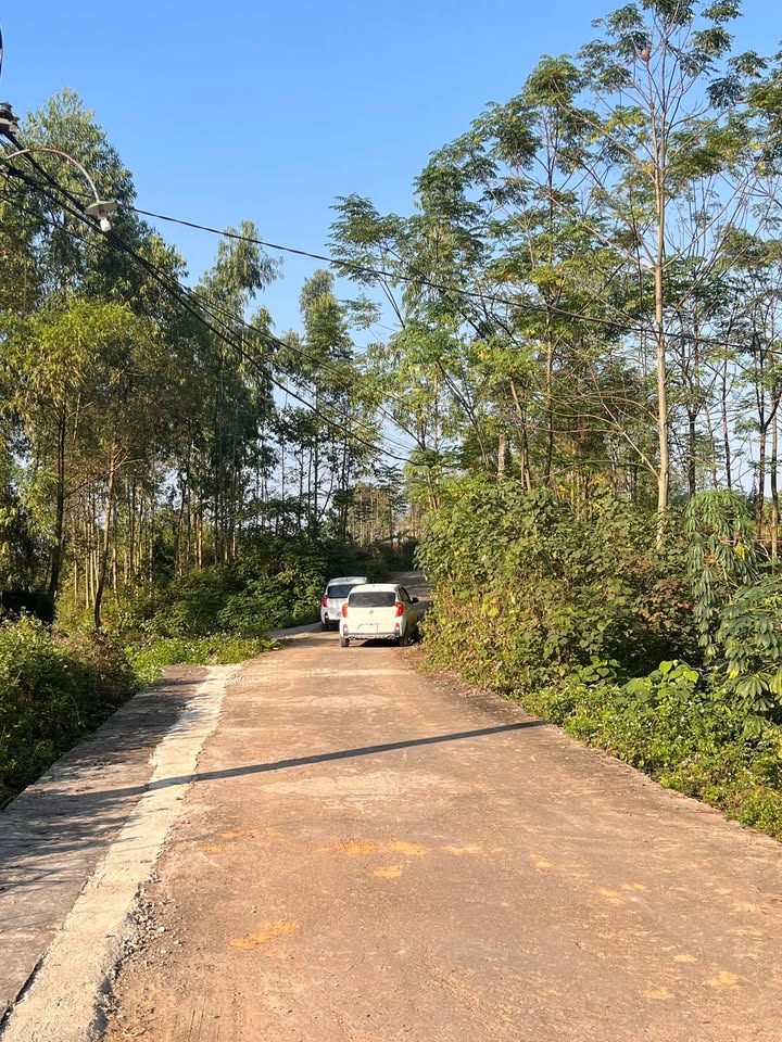 Đất nền Thanh Đình Việt Trì 100m² giá 800 triệu - Pháp lý đầy đủ, vị trí đắc địa!