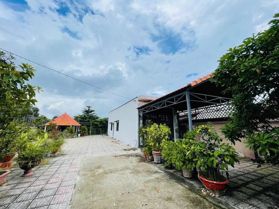 Đất thổ cư Củ Chi 1508m² giá 18.5 tỷ - Đầu tư sinh lời hấp dẫn!