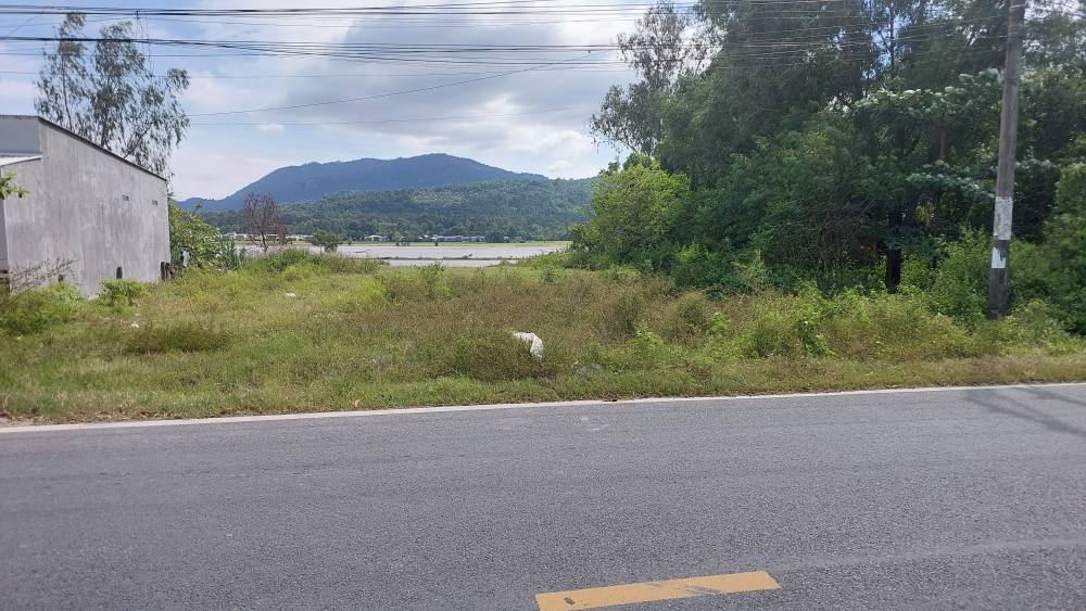 Đất nền ĐT958 Tri Tôn 1155m² - Vị trí lý tưởng cho kinh doanh