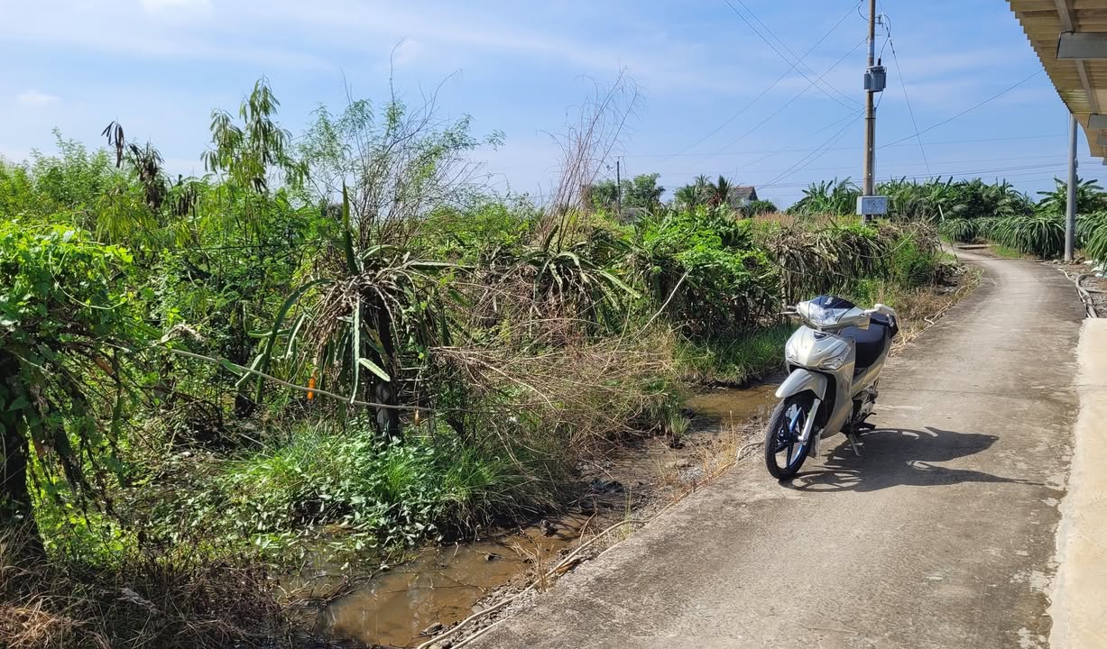 Đất nông nghiệp An Lục Long, Châu Thành, Long An 2131m² giá 239 triệu - Sổ hồng riêng chính chủ!