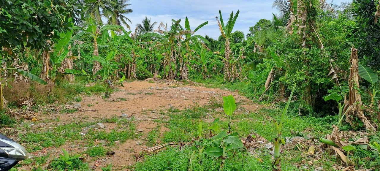 Đất thổ cư Hòa Tịnh, Vĩnh Long 1.893m² giá 1.6 triệu/m² - Đầu tư sinh lời!