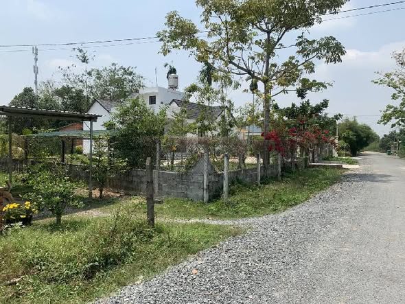 Đất nền 1028m² Ấp Thạnh Nghĩa, Tân Châu - Giá chỉ 1.8 tỷ - Đầu tư sinh lời!