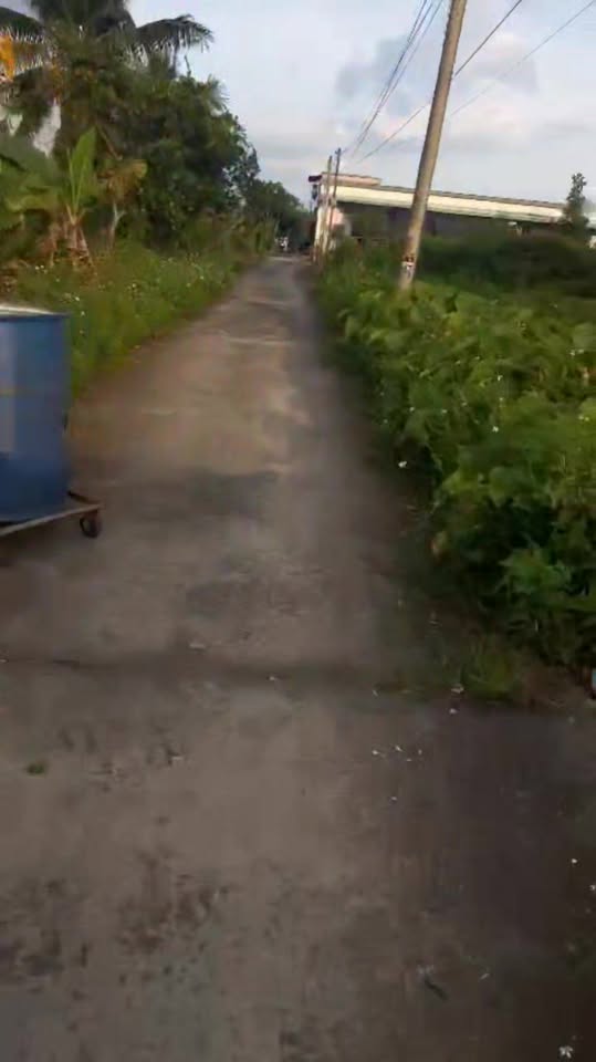 Đất thổ cư Ấp 3 Long Thọ Nhơn Trạch 381.8m² giá 3 tỷ - Đầu tư sinh lời tốt!