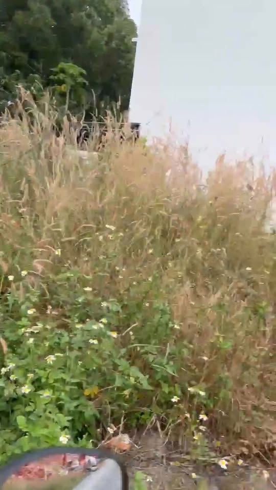 Đất nền Lộc An, Long Thành 275m² giá tốt - Đầu tư sinh lời ngay!