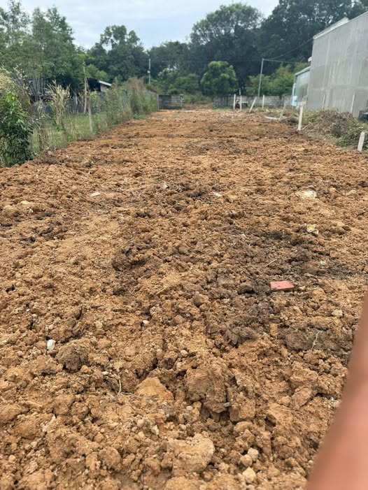 Đất Hòa Lợi Bến Cát 60m² giá 1,8 tỷ - Đầu tư sinh lời hiếm có!