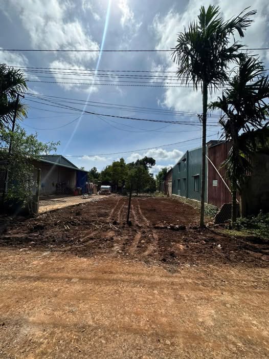 Đất nền phường Tân An 250m² giá 1.29 tỷ - Đầu tư sinh lời ngay!