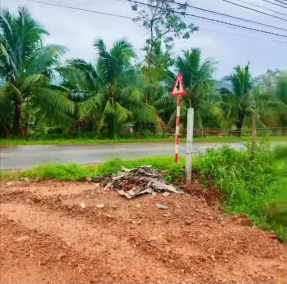 Đất mặt tiền đường ĐT 631 Ân Tường Đông 100m² giá 500 triệu - Đầu tư sinh lời ngay!