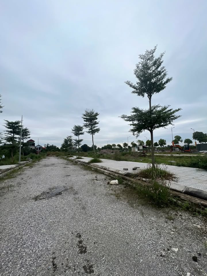 Đất nền Tiên Tân Phủ Lý 90m² giá chỉ 5x triệu/m² - Cơ hội đầu tư hấp dẫn!