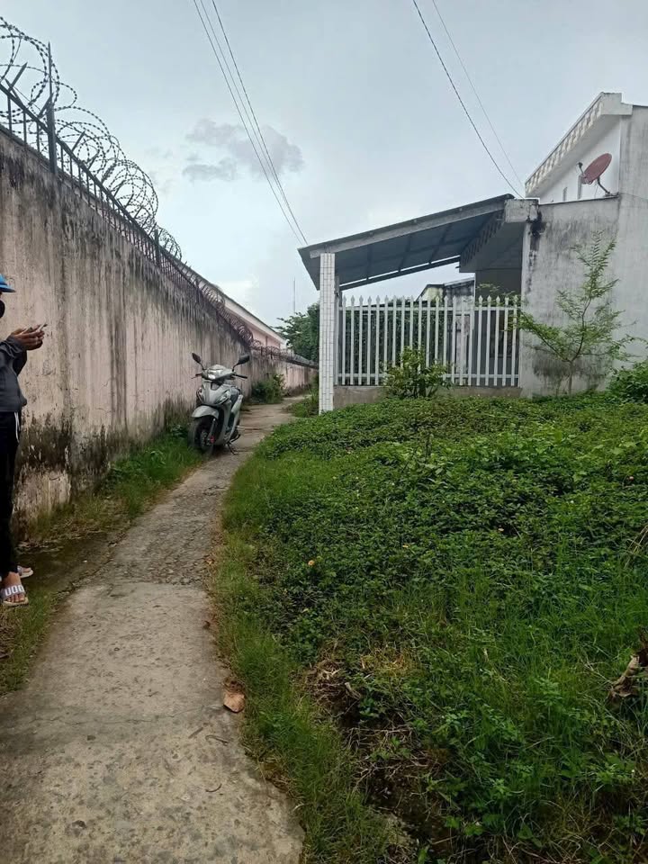 Đất mặt tiền đường Dank 100m² giá 590 triệu - Đầu tư sinh lời ngay!