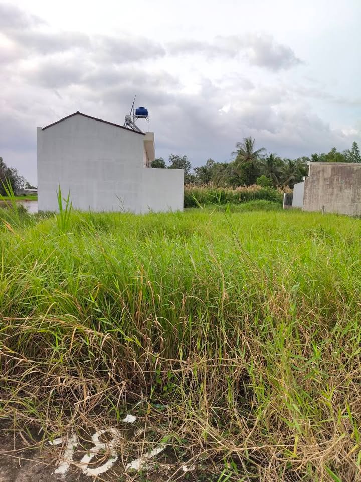 Đất mặt tiền ấp Đầu Bờ, Hòa Thuận 115m² giá 400 triệu - Đầu tư sinh lời ngay!