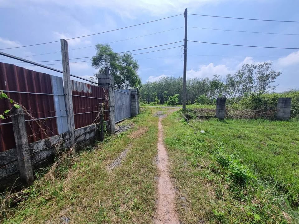 Đất 500m² mặt tiền đường Hà Thị Kiểm, xã An Nhơn Tây, giá chỉ 950 triệu - Đầu tư sinh lời!