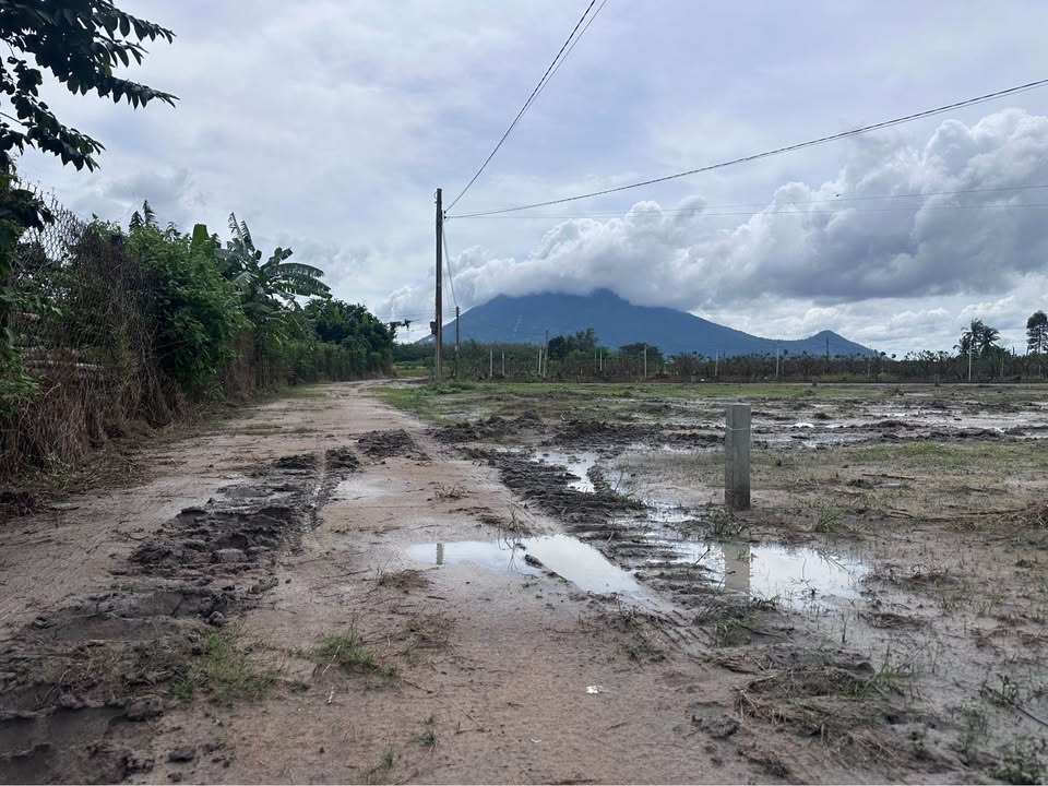 Đất nền Suối Đá, Dương Minh Châu 270m² giá 230 triệu - Sổ hồng chính chủ