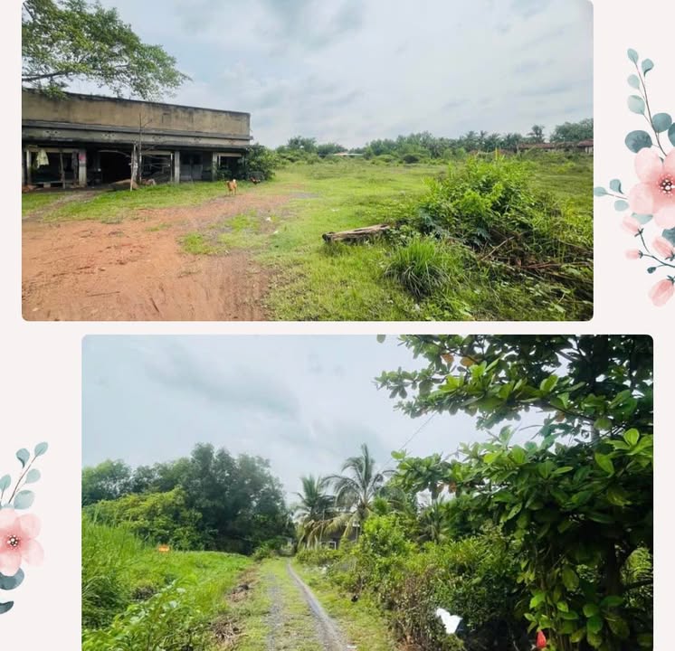 Đất nền Long Phước Thủ Đức 10,000m² giá 80 tỷ - Cơ hội đầu tư sinh lời!