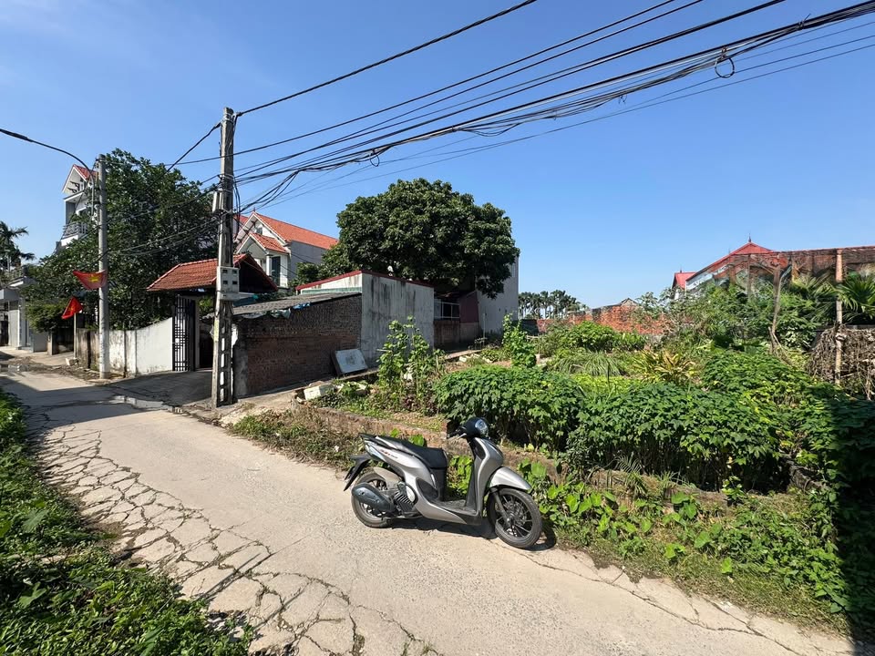 Đất thổ cư Đan Phượng 50m² giá 4 tỷ - Ô tô vào tận đất, không lỗi phong thủy!