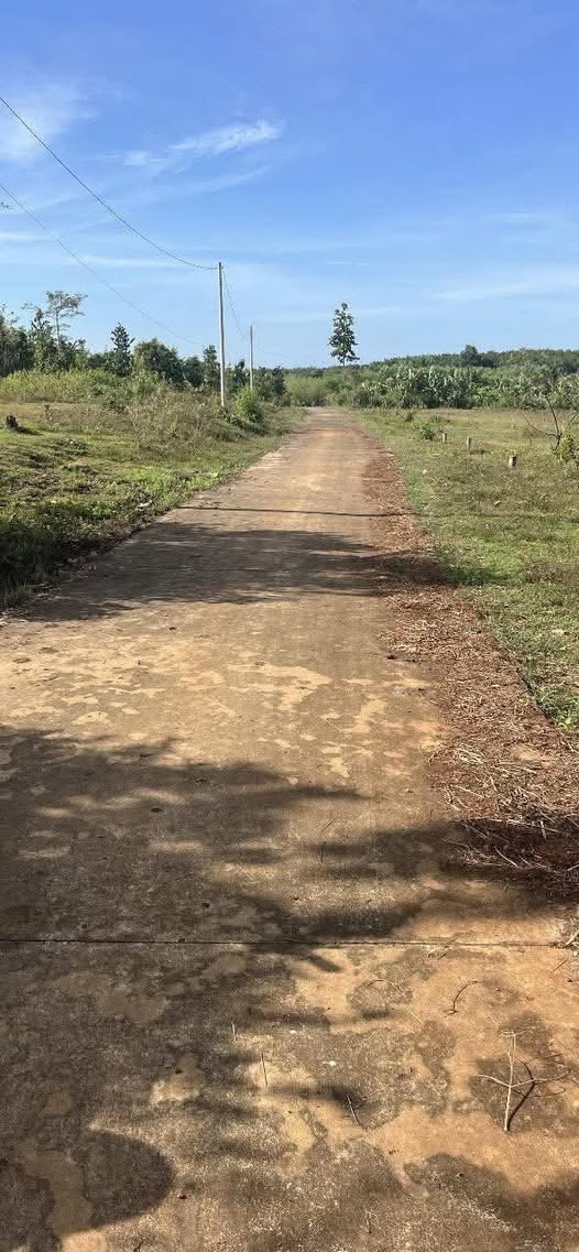 Đất nền Ấp 6 Lộc Hưng 1000m² giá chỉ 250 triệu - Đầu tư sinh lời hấp dẫn!