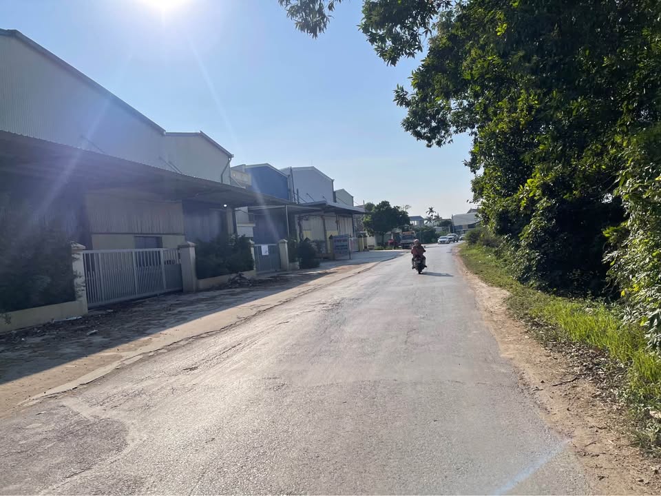 Đất nền mặt đường 382 xã Việt Cường 151m² giá 5 tỷ - Đầu tư sinh lời ngay!