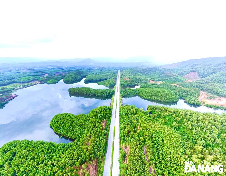 Đất rừng 50000m² Hòa Nhơn Đà Nẵng giá 8 tỷ - Đầu tư sinh lời tuyệt vời!