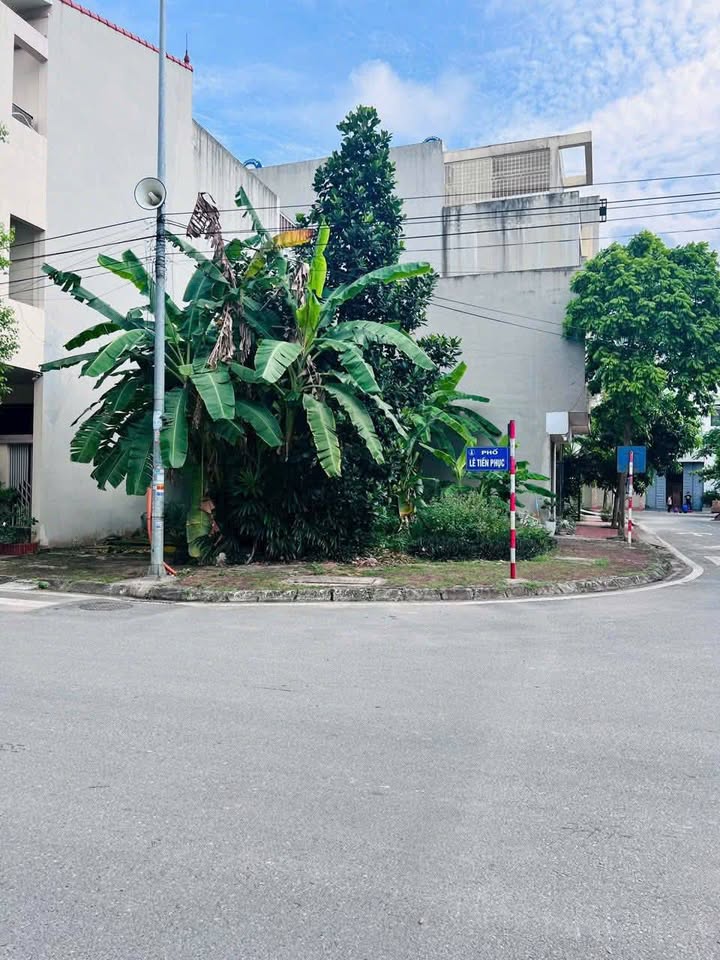 Đất góc Lê Tiến Phục & Vũ Đình Liệu 99m² giá 6 tỷ - Cơ hội đầu tư hiếm có!