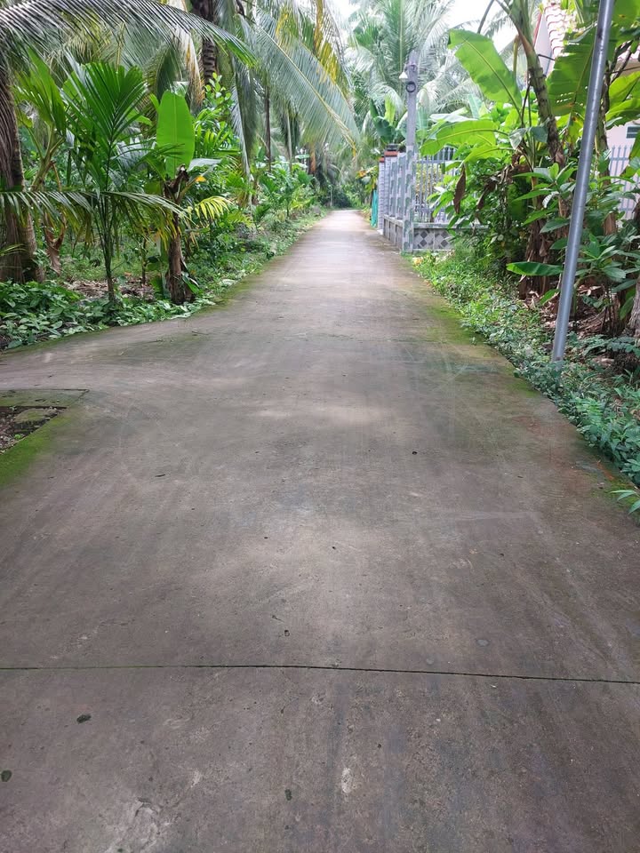 Đất thổ cư 290m² tại phường An Hội, Bến Tre - Giá chỉ 1.05 tỷ!