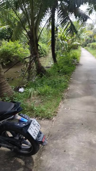 Đất thổ cư Lương Hòa, Giồng Trôm 500m² giá chỉ 599 triệu - Đầu tư sinh lời tuyệt vời!