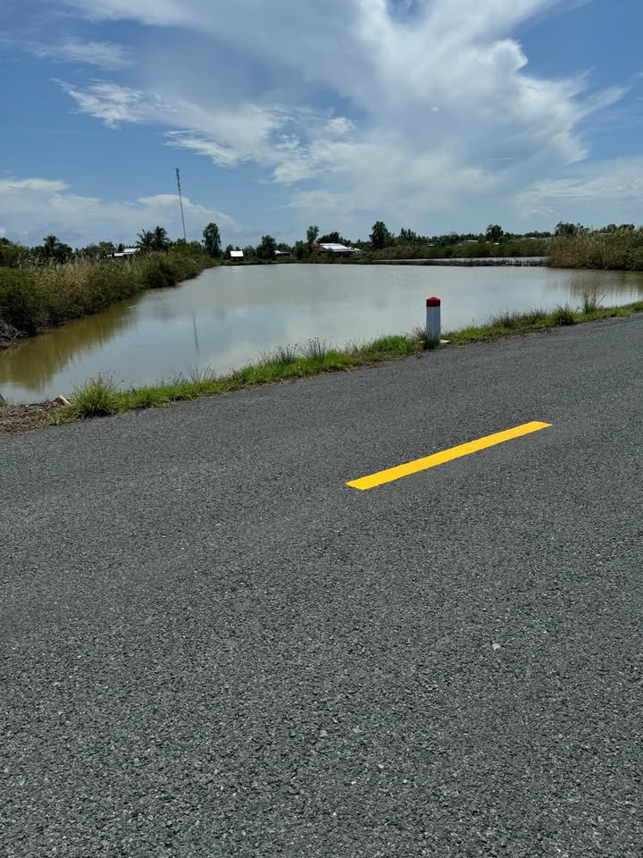 Đất thổ cư mặt tiền xã Tân Hưng, Cái Nước 5200m² - Cơ hội đầu tư tuyệt vời!