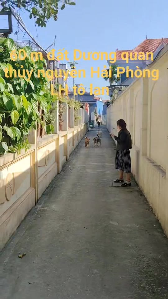 Đất Dương Quan, Thủy Nguyên, Hải Phòng 62m² giá 1.35 tỷ - Vị trí trung tâm hành chính