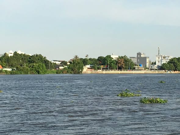 Bán đất mặt tiền Sông Sài Gòn xã Bình Mỹ 443m² giá 8.85 tỷ - Vị trí đẹp, pháp lý rõ ràng!