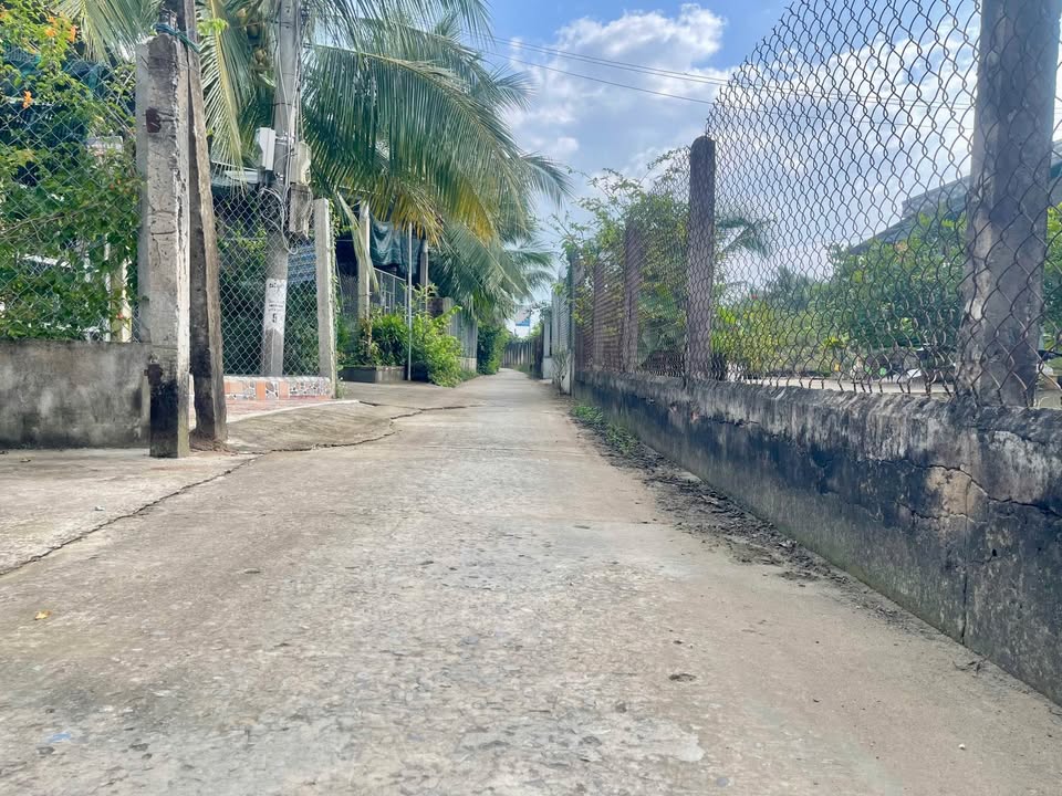 Đất vuông đẹp 731m² xã Dưỡng Điềm, Châu Thành chỉ 1.28 tỷ - Sẵn sàng giao dịch!