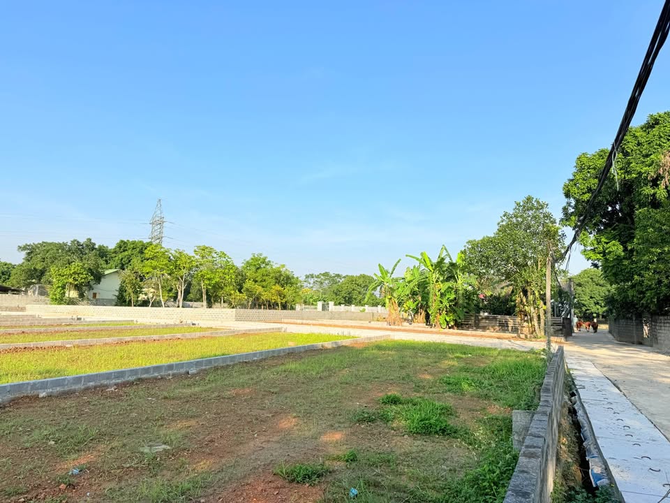 Đất Nền Nhuận Trạch Lương Sơn 140m² giá 1 tỷ - Vị trí vàng gần chợ lớn!