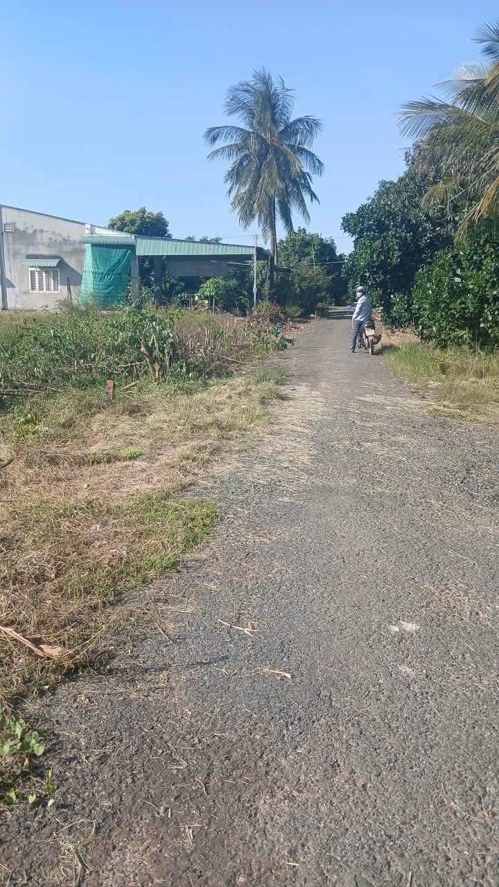 Đất thổ cư mặt tiền đường nhựa Thạnh Đông 235m² giá 290 triệu - Cơ hội đầu tư tuyệt vời!