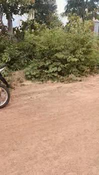 Đất nền Phước Vinh Châu Thành 13000m² giá 1.2 tỷ - Đầu tư sinh lời ngay!