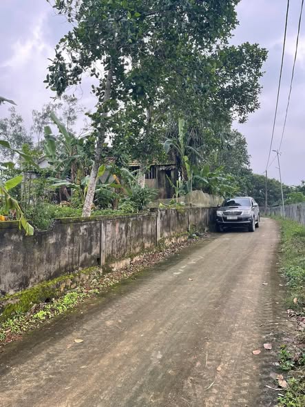 Đất nền tại xóm Yên Sơn, xã Hoà Sơn, huyện Đô Lương 160.5m² chỉ 500 triệu - Cơ hội đầu tư tuyệt vời!