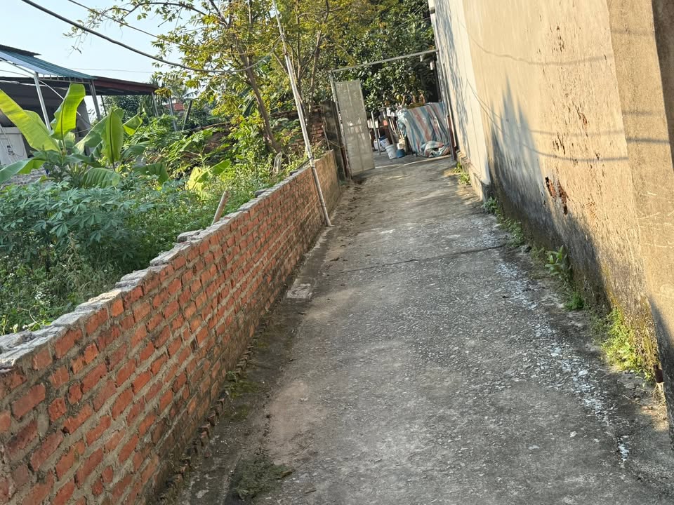 Lô đất Thạch Thất 116m² giá chỉ 2xx triệu - Cơ hội đầu tư tuyệt vời!