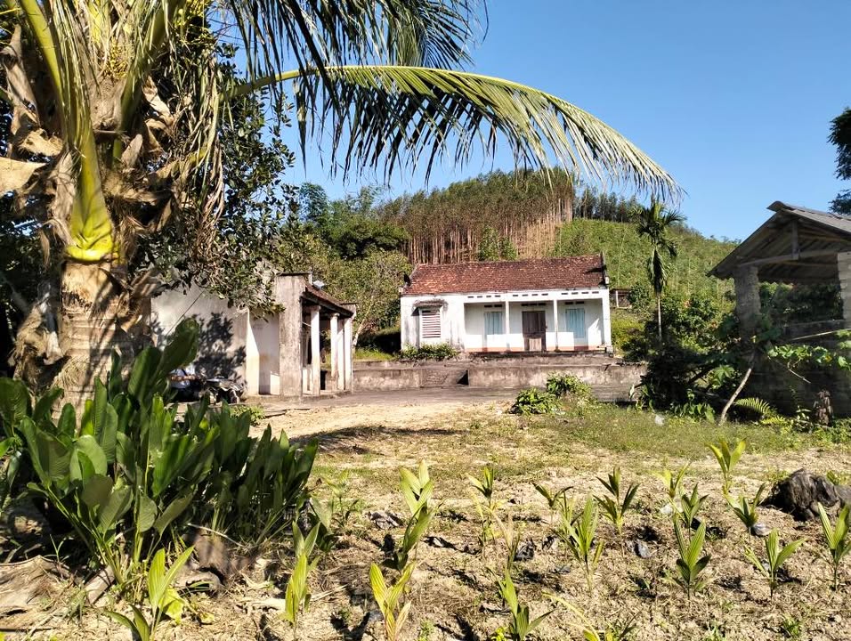 Đất vườn thổ cư 9000m² tại Đồng Kỳ, Yên Thế - Giá chỉ 2 tỷ, không ngập nước!