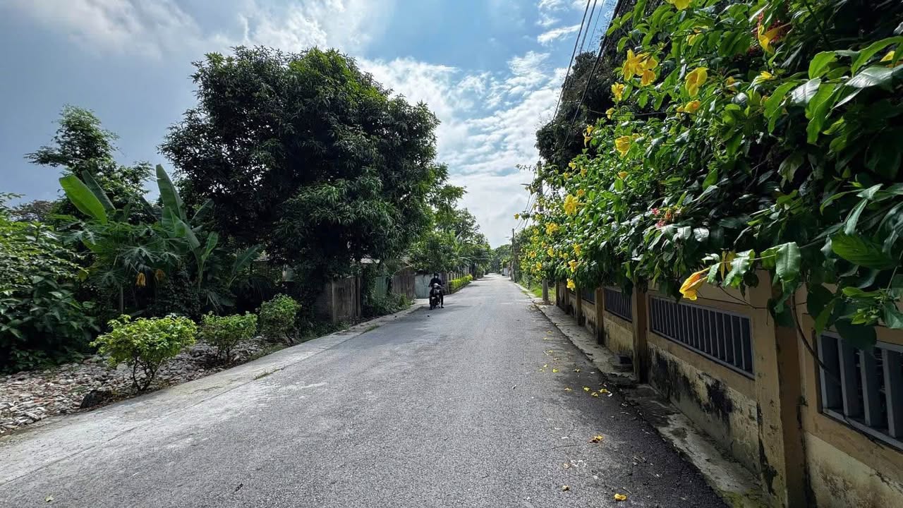 Đất Tổ 3 phường Đại Nài 292,5m² giá 3 tỷ - Hướng Đông Bắc, đường rộng 8m!