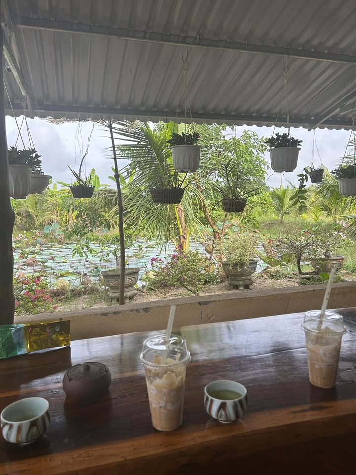 Đất nền xã Ea Phê, Krông Pắc 192m² giá chỉ 105 triệu - Cơ hội đầu tư tuyệt vời!