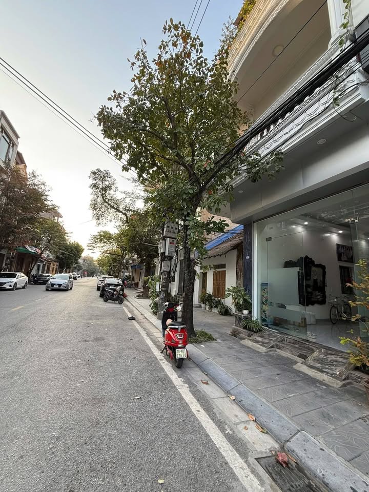 Nhà mặt phố Nguyễn Trãi, Nam Định 67m² giá 9.9 tỷ - Lô góc đẹp, giao thương thuận lợi!