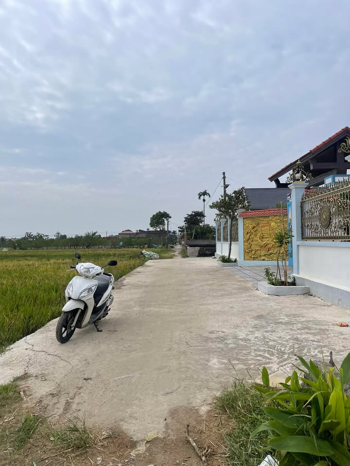 Đất nền Hậu Lộc Thanh Hóa 235m² - Cơ hội đầu tư tuyệt vời!