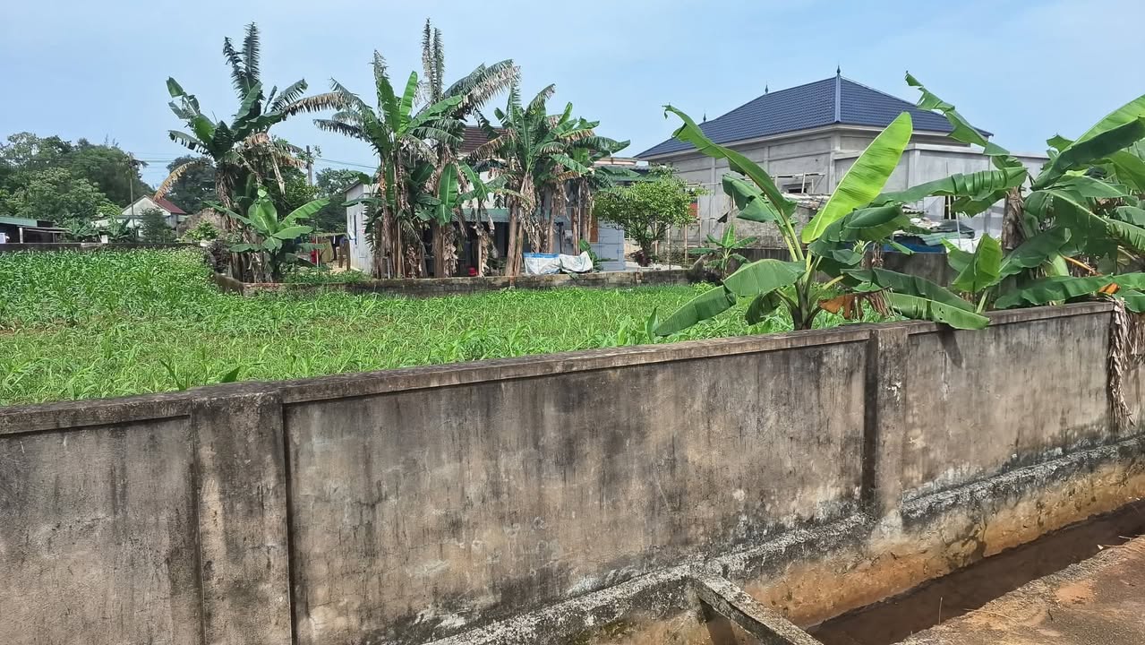 Đất chính chủ 160m² tại Thôn Hải Đông, Cổ Đạm - Giá chỉ 1.2 tỷ, phong thủy tốt!