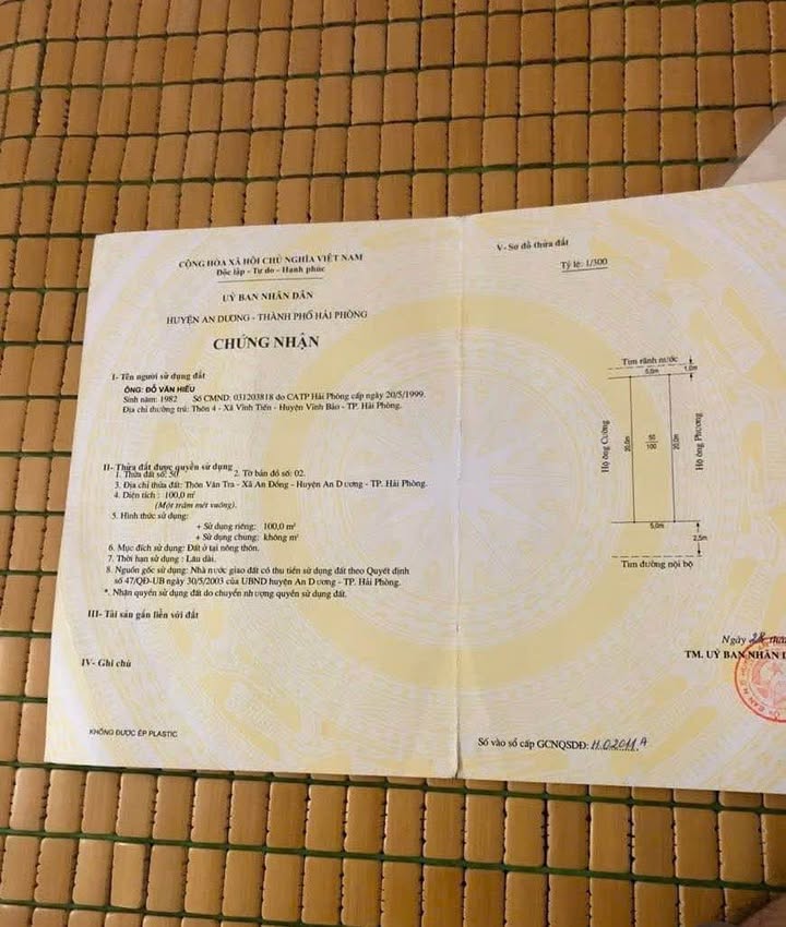 Đất nền 100m² đường Vân Tra, An Đồng giá 2.2 tỷ - Cơ hội đầu tư tuyệt vời!