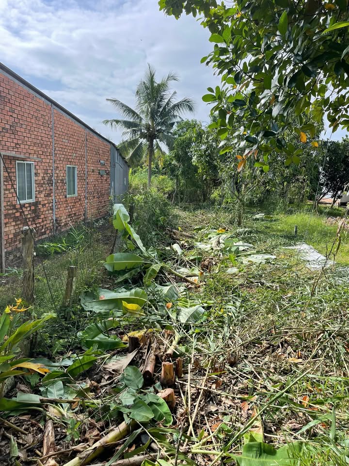 Đất nền Trường Long, Phong Điền 235m² giá 780 triệu - Thổ cư 100%!