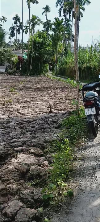 Bán 4 Nền Đất Nền Liền Kề 310m² - Cách Đường Nhựa Chỉ 50m, Vĩnh Long