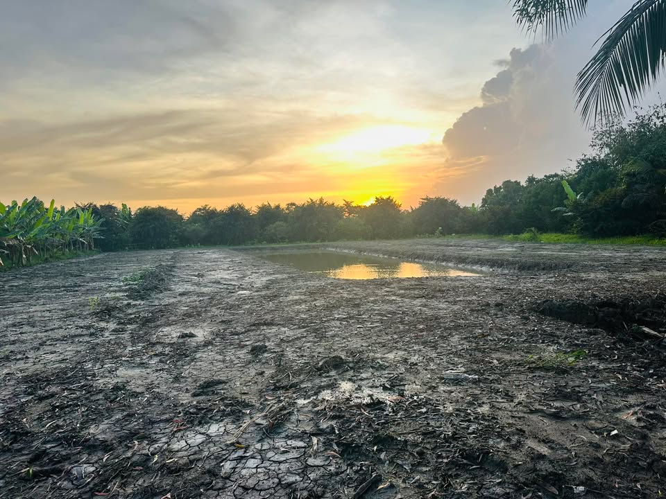 Đất vườn 2489m² Nhơn Ái, Cần Thơ - Giá chỉ 3.733 tỷ, mặt tiền 14m