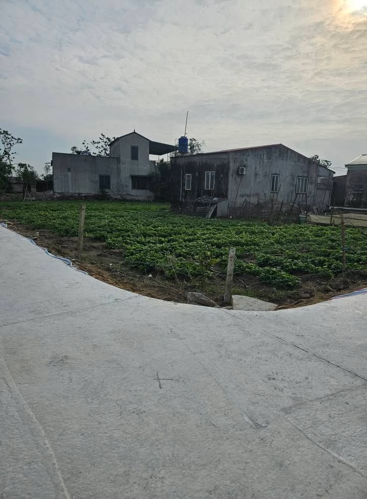 Đất nền Hưng Lộc Vinh 82m² giá 1.55 tỷ - Tiềm năng tăng giá mạnh!