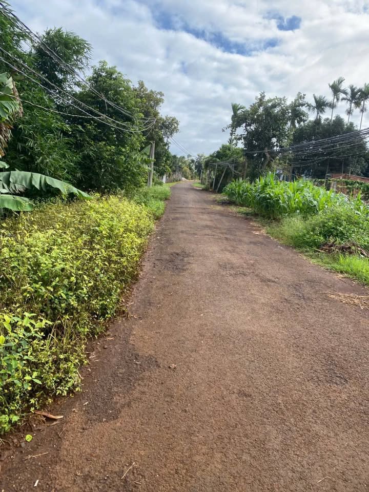 Đất nền đầu tư tại Phú Xuân, Krông Năng 560m² - Cơ hội vàng cho nhà đầu tư!