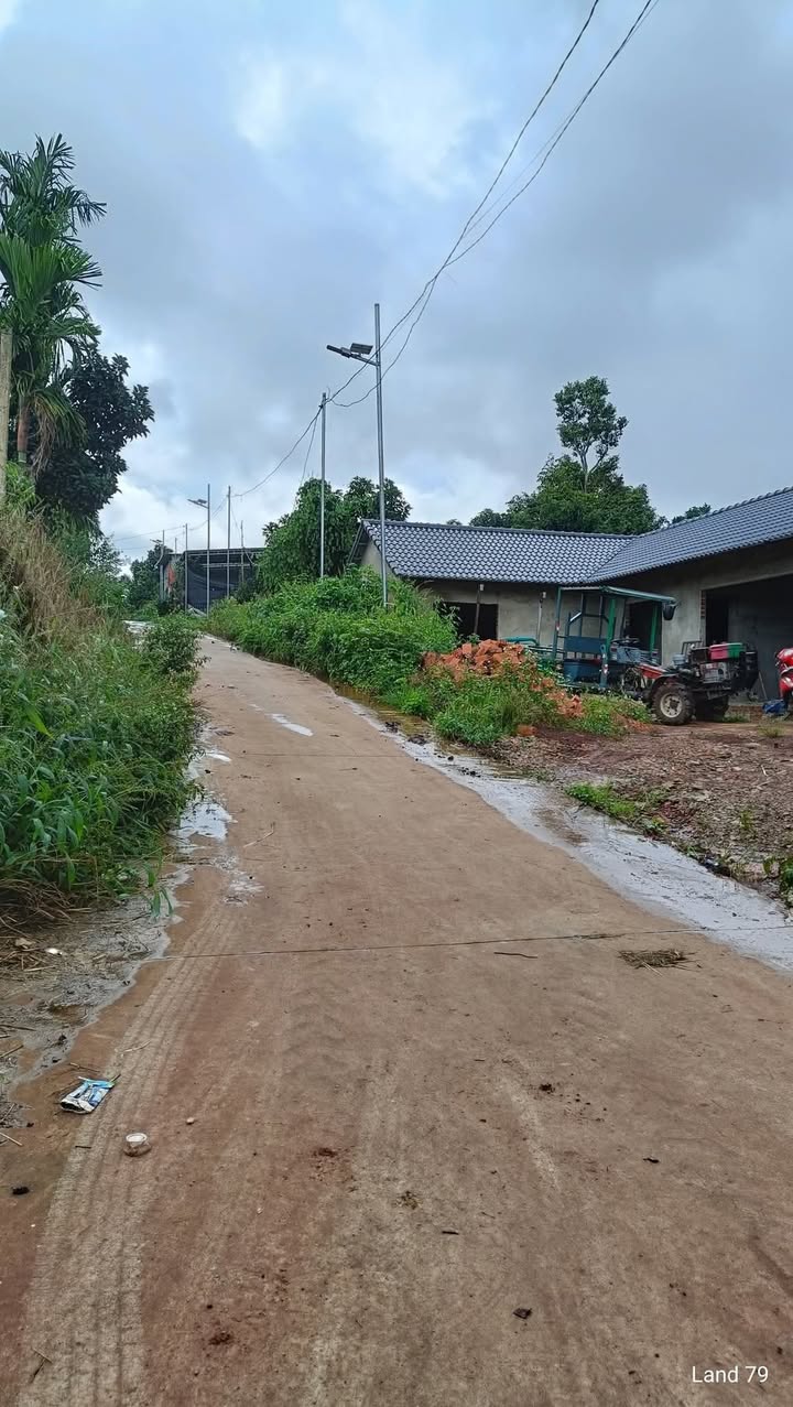 Đất thổ cư Phú Lộc, Krông Năng 231m² giá chỉ 231 triệu - Cơ hội đầu tư tuyệt vời!