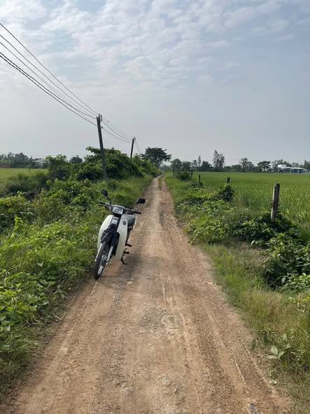 Đất nông nghiệp 7000m² tại Phường 8, Sóc Trăng - Tiềm năng phát triển lớn!