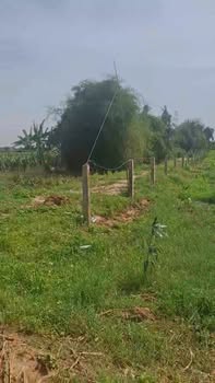 Đất nền Hàm Liêm 1,6 sào giá 650 triệu - Vị trí đắc địa, phù hợp đầu tư!