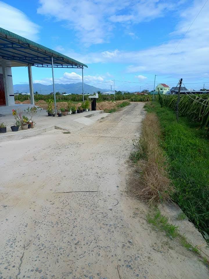 Bán đất tặng nhà 3 mặt tiền Bê Tông Hàm Mỹ - Phan Thiết 2090m² giá 1.999 tỷ - Đầu tư sinh lời ngay!